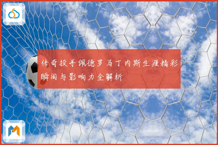 传奇投手佩德罗马丁内斯生涯精彩瞬间与影响力全解析