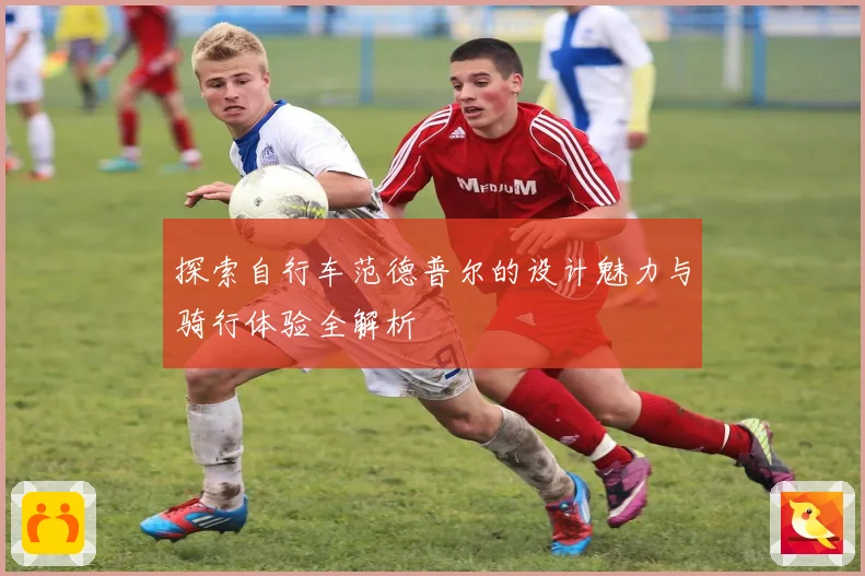 探索自行车范德普尔的设计魅力与骑行体验全解析