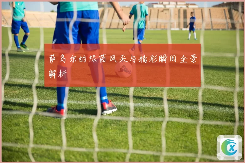 萨乌尔的绿茵风采与精彩瞬间全景解析