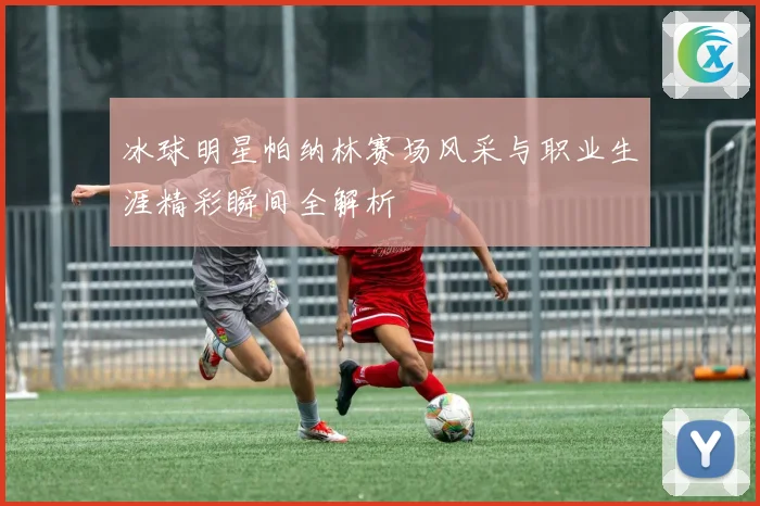 冰球明星帕纳林赛场风采与职业生涯精彩瞬间全解析