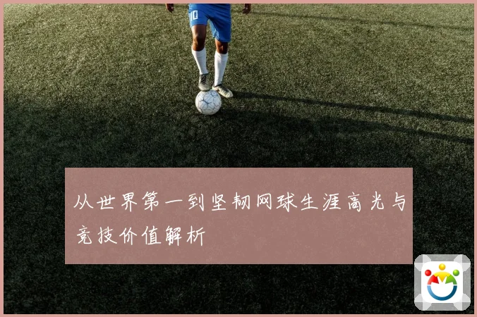 从世界第一到坚韧网球生涯高光与竞技价值解析